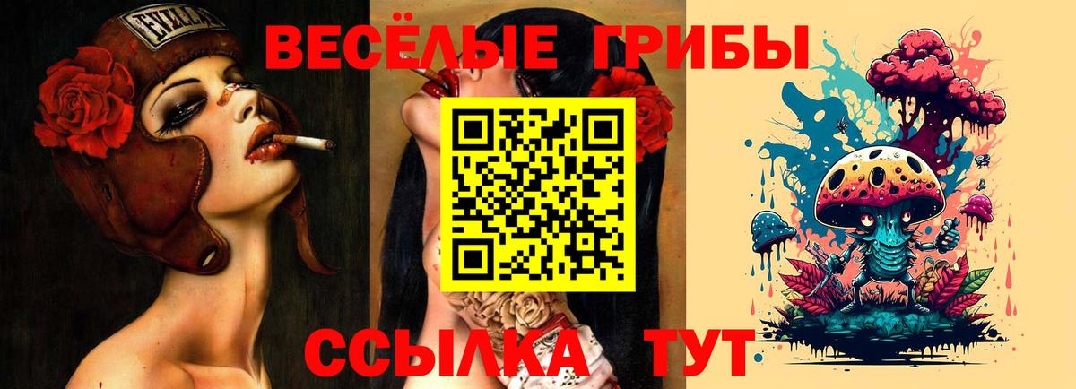 Альметьевск  Галлюциногенные грибы ЛСД  Вход с VPN 